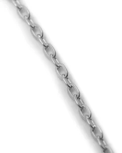 Blue Billie Thin Chain Necklace Silver
