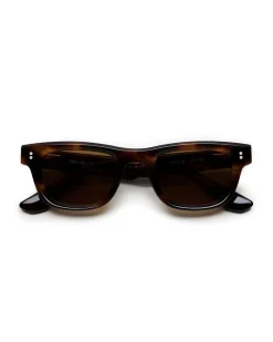 CHIMI 08 Tortoise