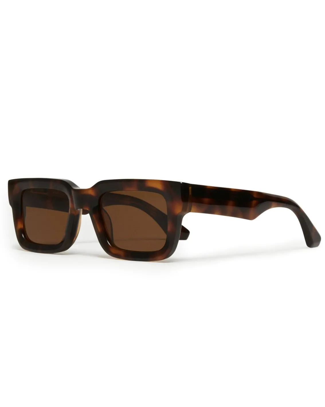 CHIMI 05 Tortoise