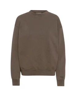 Colorful Standard Organic Oversized Crew Cedar Brown