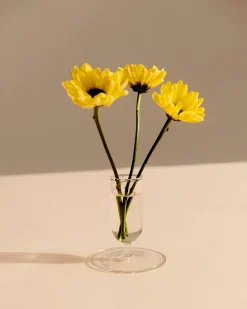 HAY Tiny Vase Clear