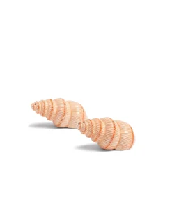 &Klevering Salt & Pepper Shell Mulitcolor