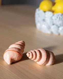 &Klevering Salt & Pepper Shell Mulitcolor