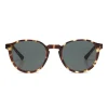 Komono Liam Tortoise