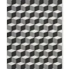 Layered Illusion Rug Monochrome