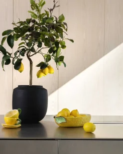 Lemon Bowl L Yellow