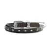 MOLEBO Rivet Belt Dusted Brown