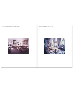 New York Living Rooms By Dominique Nabokov
