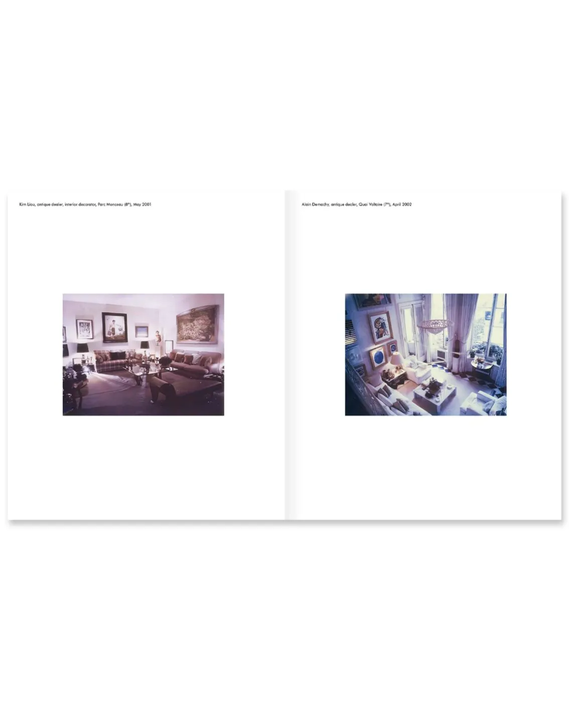 New York Living Rooms By Dominique Nabokov