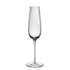 Nude Round Up - Sparkling Wine Glass Set Of 2