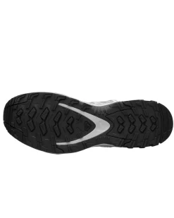 Salomon Xa Pro 3D Alloy/Ftw Silver/Lunar Rock