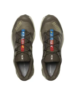 Salomon Xt-4 Og Aurora Borealis Canteen/Transparent Yellow/Dried Herb