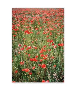 Wall of Art Flower Party By Josefine Lundhall